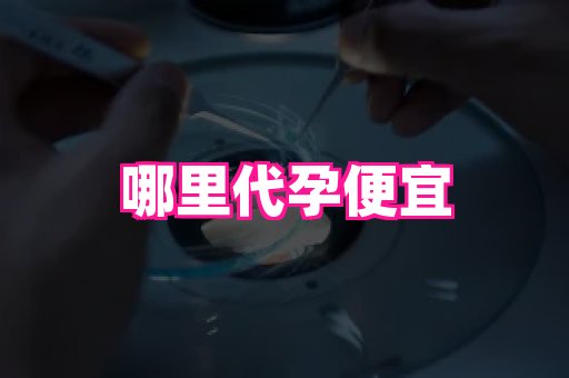 贵州助孕网站 2