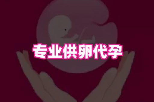 贵州助孕网站 4
